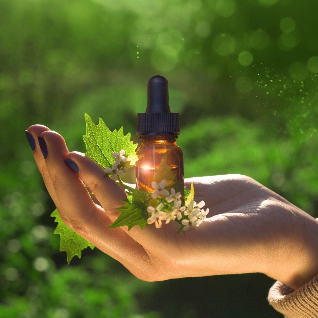 O que são Florais e quais são seus benefícios